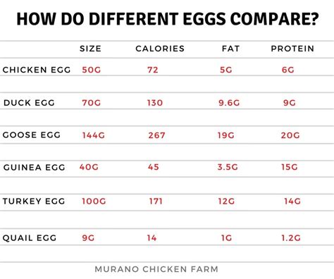 duck egg vs chicken egg nutrition facts propranolols