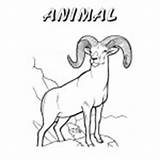 Nevada Book Coloring Printable Hull Christine Copyright Themed Windy Pinwheel State Animal Sheep Celebrate sketch template