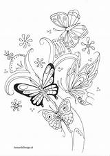 Kleurplaten Bloemen Vlinders Volwassenen Vlinder Roos Butterflies Paardenhoofd Hoefijzer Paard Uitprinten Omnilabo Downloaden sketch template