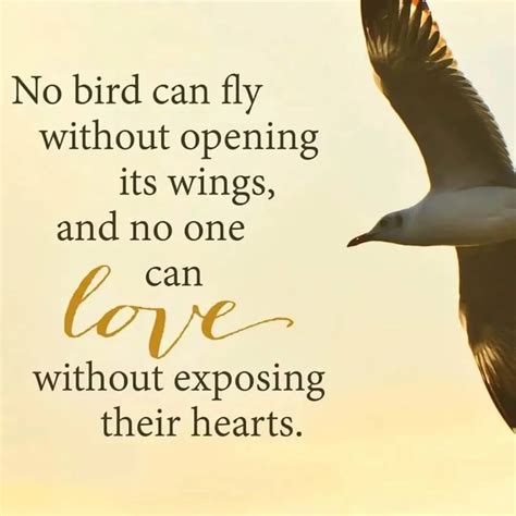 bird quotes  inspire  love  nature