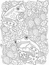 Frog Coloring Pages Adult Zentangle Adults Printable Color Mandala Cute Bright Teens Colors Favorite Choose Books sketch template