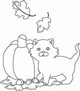 Cat Kolorowanki Halloweenowy Kot Dzieci sketch template