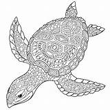 Coloring Zentangle Schildpad Tortue Stilisierte Tartaruga Depositphotos Antistress Stylized Schildkröte Colorare Mandalas Stilizzato Animato Cartone Kleurplaat Rechtenvrije Stockvectors Gestileerde Isolato sketch template