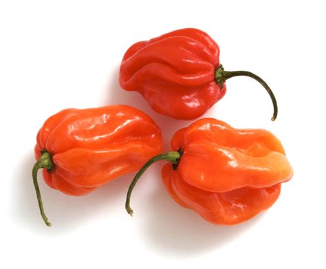 20 Different Types Of Peppers And Their Delicious Uses