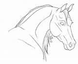 Horse Lineart Head Arabian Horses Face Deviantart Line Drawing Coloring Pages Shot Drawings Rearing Getdrawings Choose Board sketch template