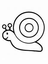 Snail sketch template