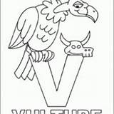Vulture Coloring Printable Today Sheets Print sketch template