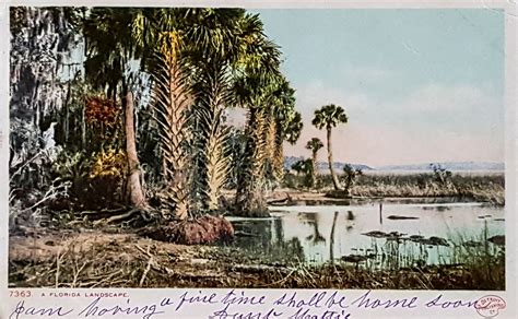 A Florida Landscape 1902 From The Collection Of And