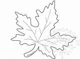 Maple Template Leaf Autumn Coloring Getdrawings Drawing sketch template