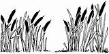 Cattails Clipart Clip Cattail Grass Swamp Drawing Pond Marsh Cliparts Silhouette Wetland Plant Plants Library Scene Clipground Mormon Collection Line sketch template