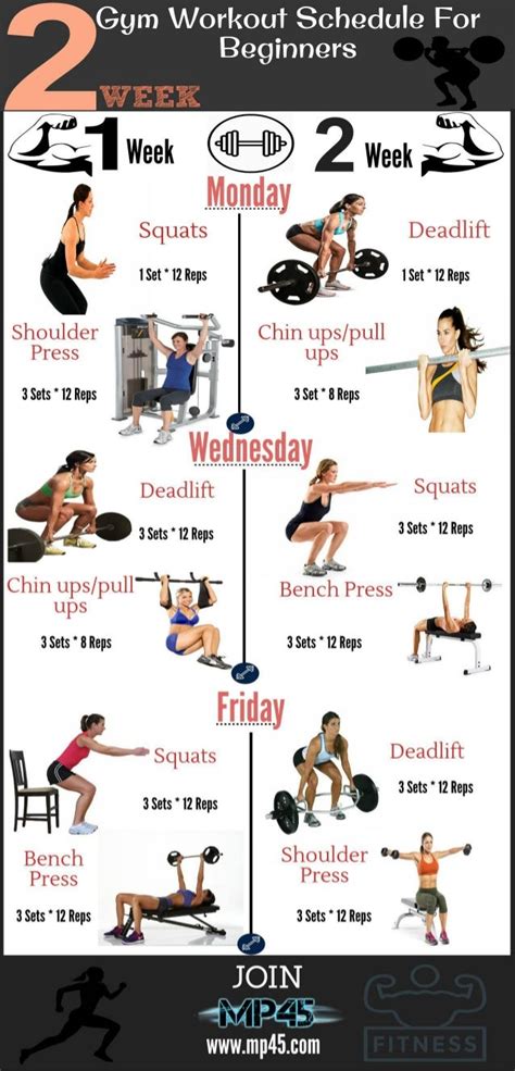 gym workout schedule  beginners