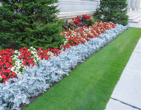 landscaping ideas  improve  homes curb appeal