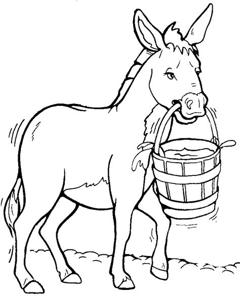 donkeys coloring pages coloring kids