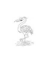Crane Coloring Crowned Red Legged Long sketch template