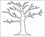 Tree Coloring Leaves Pages Drawing Printable Palm Trunk Stump Branch Trees Template Oak Without Leaf Kids Color Outline Getdrawings Drawings sketch template
