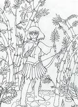 Coloring Pages Bamboo Tree Getcolorings Getdrawings Printable sketch template