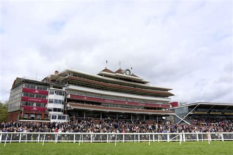 sex at the races one in 15 racegoers admit to having romps at top