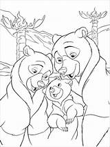 Bear Brother Coloring Pages Printable Kids Book Coloriage Fun Recommended Kleurplaat sketch template
