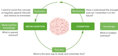 metacognition  medical education lecturio medical
