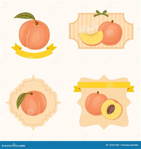 peach labels  tags stock vector illustration  harvest