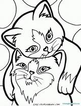 Face Kitten Drawing Coloring Cute Getdrawings Pages sketch template