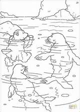 Bear Antarctic sketch template