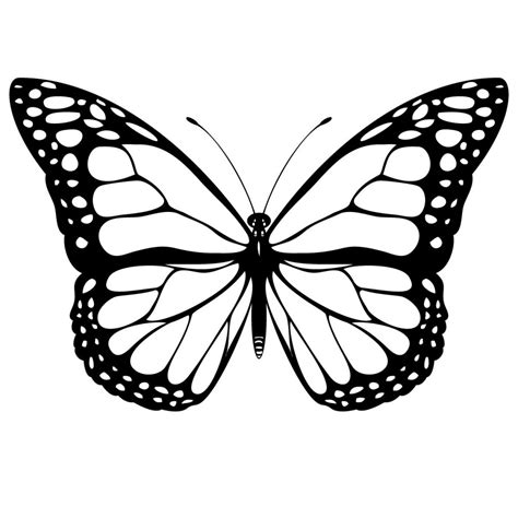 imagens de borboletas  colorir borboleta  colorir  imprimir