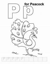 Coloring Letter Peacock Pages Learn Color Letters sketch template