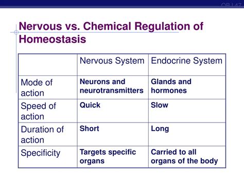 Ppt Endocrine System Hormones And Homeostasis Powerpoint