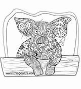 Pig Adults Mandelas sketch template