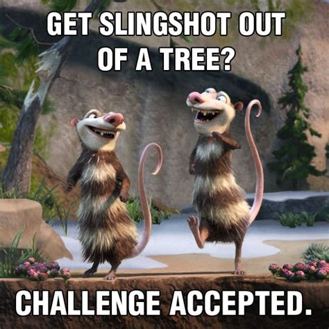 13 Best Ice Age Memes Images On Pinterest Memes Humor