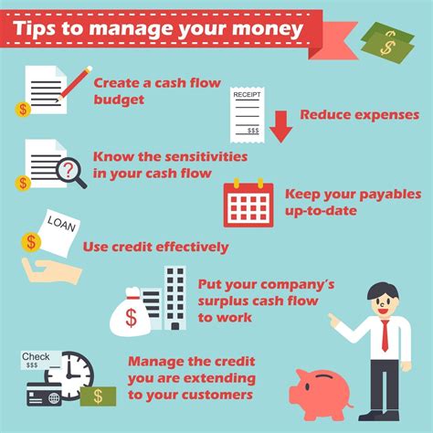 manage  money infographics  vector art  vecteezy