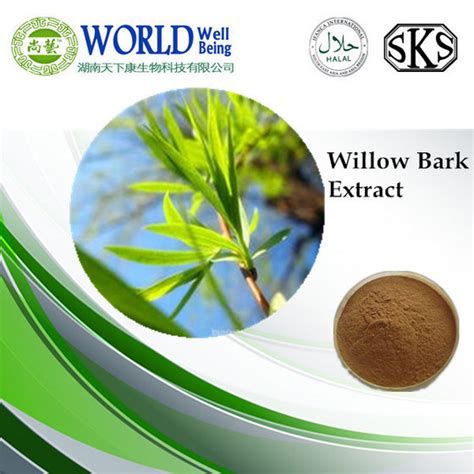 25 Salicin White Willow Bark Extract Salix Alba Extract Id 9587951