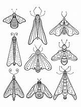 Moth Luna Nerdymamma Downloadable 1254 Listkota sketch template