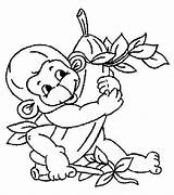 Pages Monkey Coloring Hanging Getdrawings Realistic Getcolorings Printable sketch template