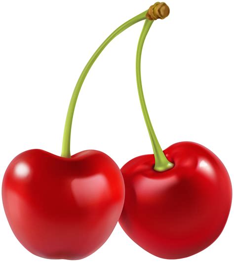 cherries png   cliparts  images  clipground