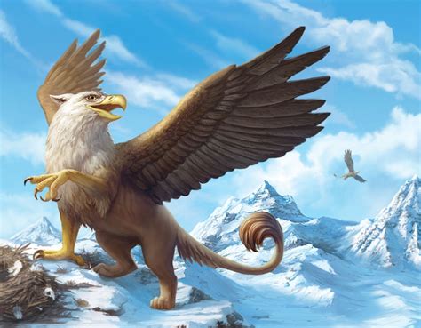 drawn griffon mythology creature pencil   color