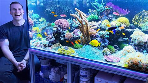 reef tanks  review saltwater aquarium coral