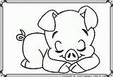 Pigs sketch template