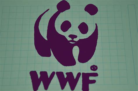 logo wwf la historia y el significado del logotipo la