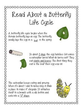 butterfly life cycles learn  texts posters writing