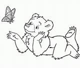 Beren Orsetti Colorare Disegni Dieren Ours Maurice Mewarnai Beruang Coloriages Sendak Animasi Diverse Teddy Bergerak Animaatjes Settemuse Colora Orsi Anda sketch template
