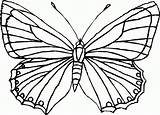 Mariposas Farfalle 10dibujos Colorare Raskrasil sketch template