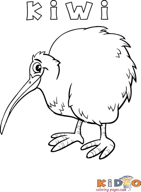 kiwi bird   words kiwi   face   beak