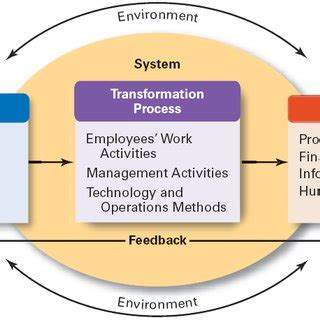 input transformation output model   scientific diagram