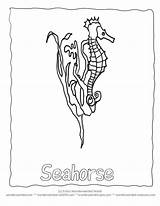 Seahorse Tábla Kiválasztása Wonderweirded sketch template
