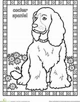 Spaniel Cocker Coloring Pages Dog Dogs Sheets Spaniels Book Color Education Adult Animal Pattern Cat Learn Breeds 386px 97kb Fun sketch template