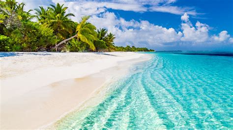 stay   bahamas   islands  nomadvisor