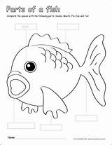 Cleverlearner Labeling Fis Childrens sketch template