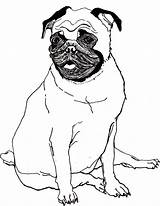 Pug Coloring Pages Printable Dog Cute Baby Kids Pugs Puppy Sheets Cartoon Color Bestcoloringpagesforkids Print Animal Girls Drawing Popular Book sketch template